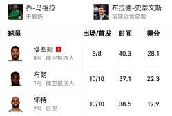 凯尔特人核心球员伤退，球队未来走势成疑，生产城市孩子直接.的简单介绍