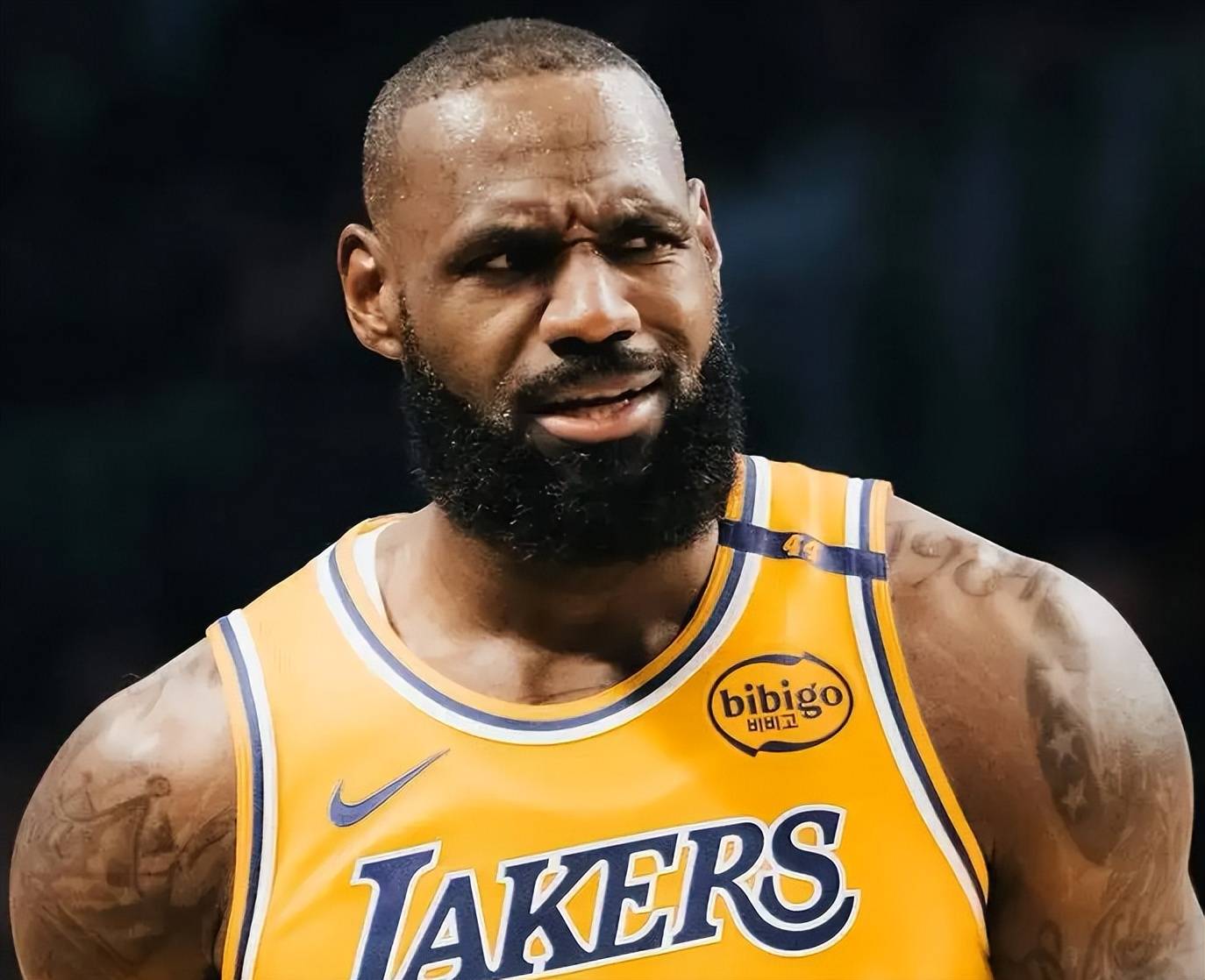 詹姆斯迎来十五赛季高光表现，曼联球迷沸腾！的简单介绍