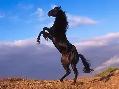 马列经典著作经典语录大全